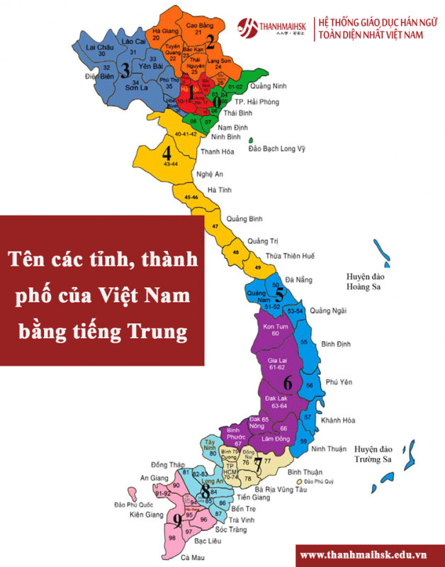 Món Mì Kéo Sợi Trung Hoa Đậm Đà Hương Vị Tại Nhà Hàng Ở Đà Nẵng