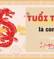 Tuổi Thìn là con gì với hình ảnh con rồng oai phong lẫm liệt