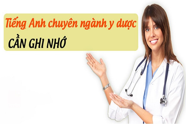 Bệnh Viện Đa Khoa