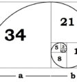 Đường cong biểu diễn tỷ lệ vàng cũng như các dãy số Fibonacci