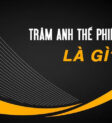 Trâm anh thế phiệt là gì