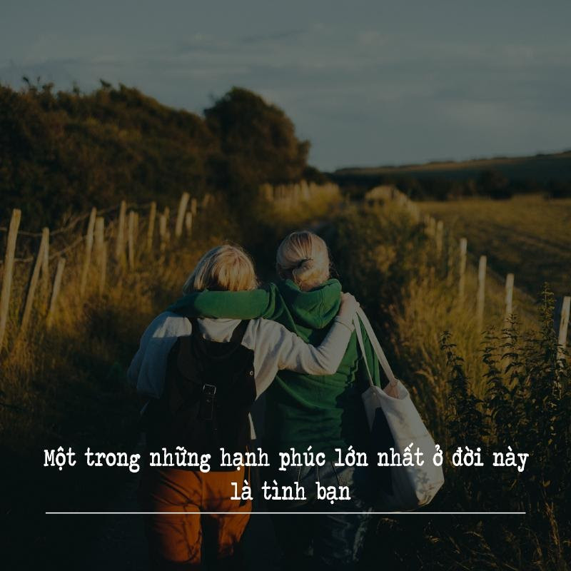 Hồng nhan tri kỷ