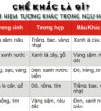 Ảnh minh họa về chế khắc trong ngũ hành: Mộc khắc Thổ, Thổ khắc Thủy, Thủy khắc Hỏa, Hỏa khắc Kim, Kim khắc Mộc
