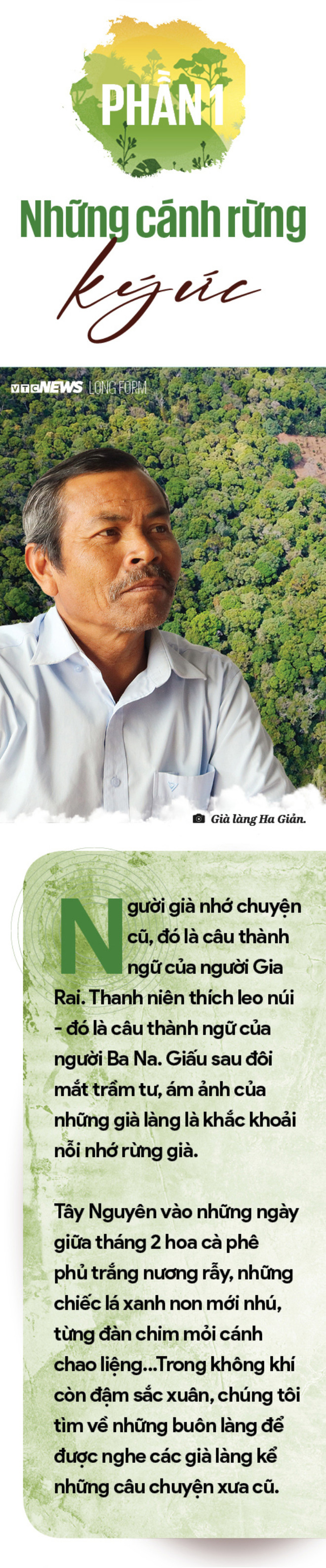 Rừng nguyên sinh bạt ngàn với những hàng cây cổ thụ