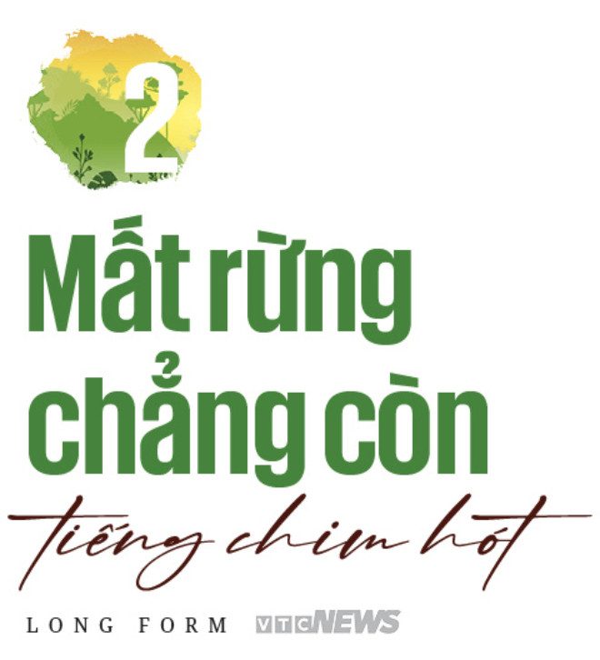 Người dân bản địa thu hái lâm sản từ đại ngàn