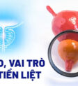 sảnh đón khách nhà hàng sang trọng