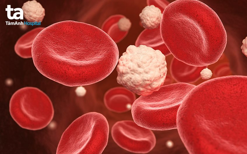 Vai trò của glucose trong cơ thể
