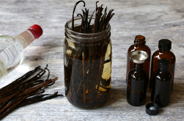 Quy trình sản xuất vanilla công phu và tỉ mỉ