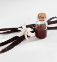 Các dạng vanilla phổ biến trên thị trường
