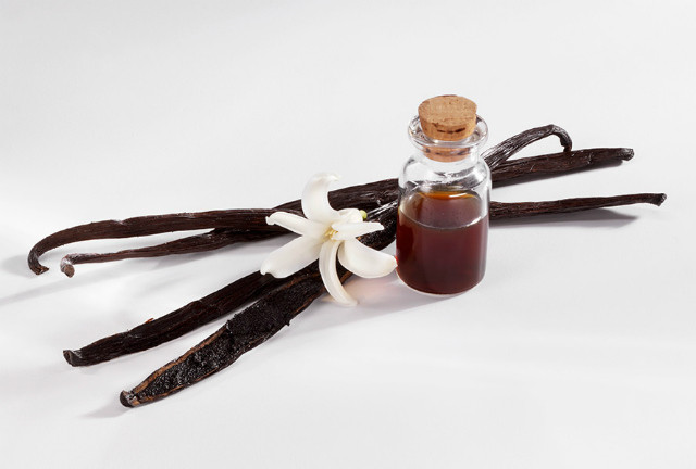 Các dạng vanilla phổ biến trên thị trường
