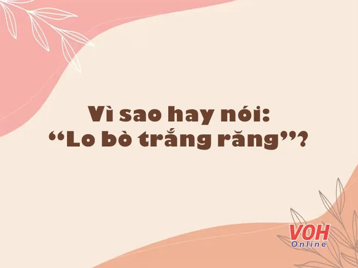 Con bò nhởn nhơ gặm cỏ, răng trắng nổi bật, một hình ảnh quen thuộc trong văn hóa Việt Nam