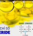 Chỉ số triglyceride