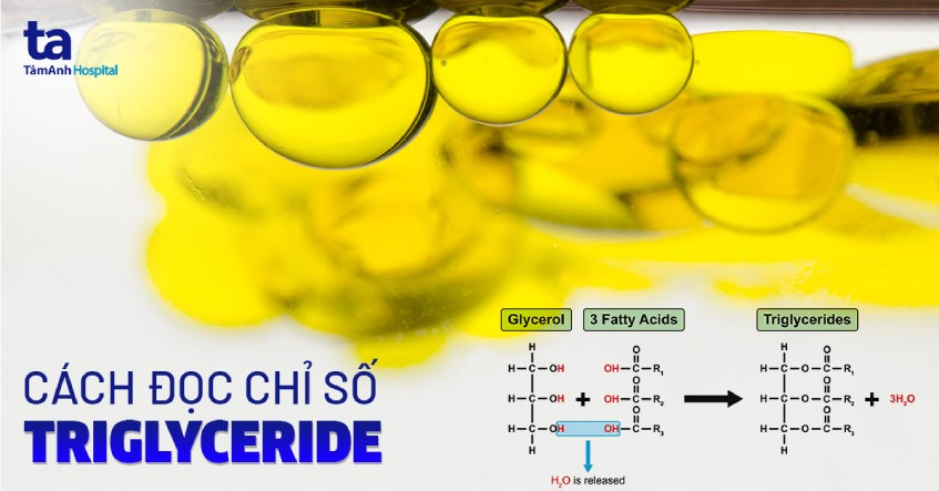 Chỉ số triglyceride