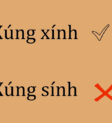 Phân biệt xúng xính và súng sính