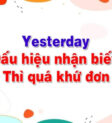 Món mì Ý thơm ngon, nấu vào ngày hôm qua, sử dụng nguyên liệu tươi ngon và công thức truyền thống