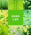 Hình ảnh lá cây xanh tươi